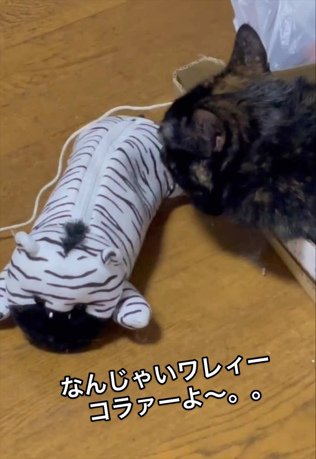 @聴々物語PROJECT