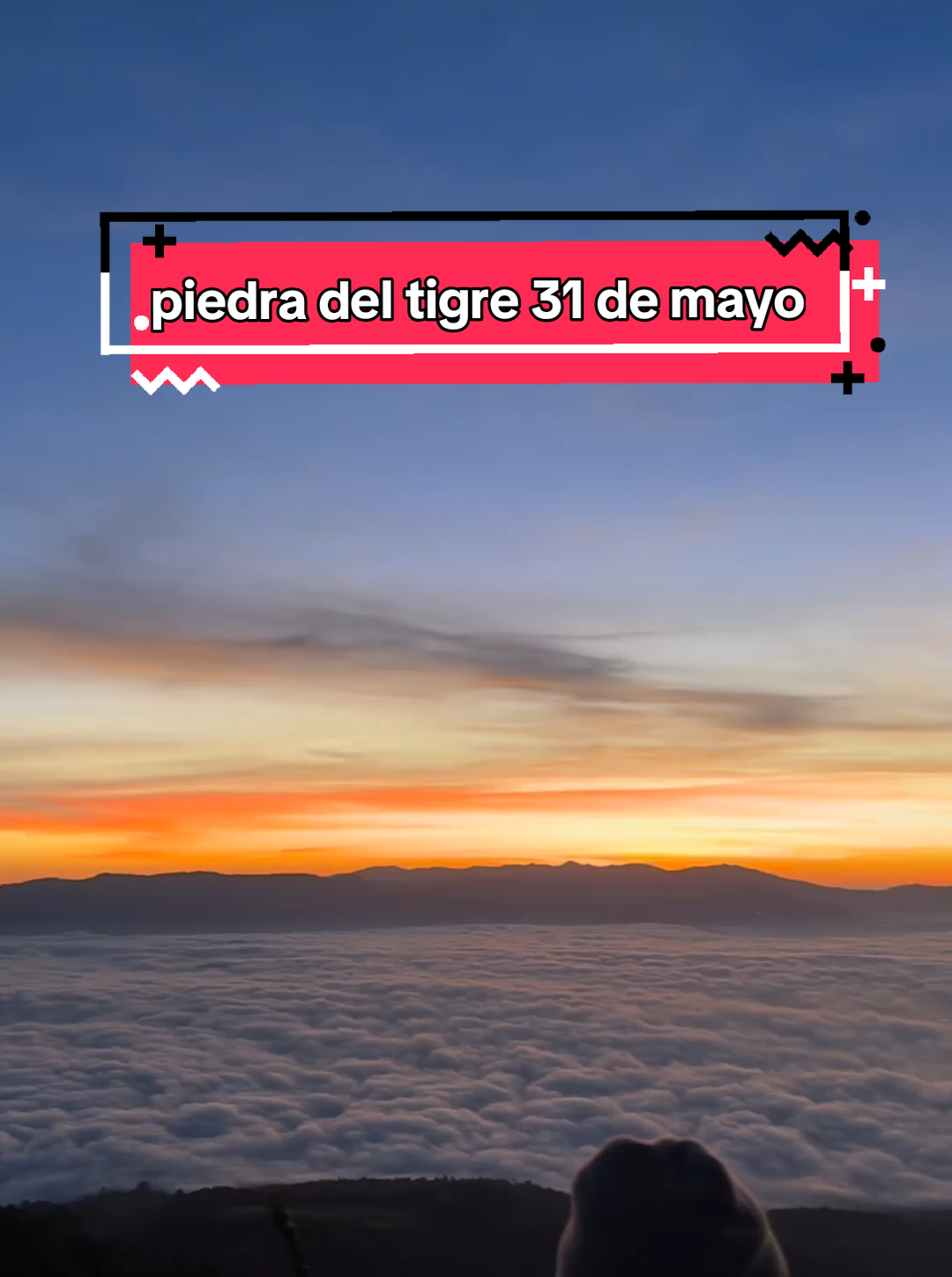 @Alexa GT 🇬🇹