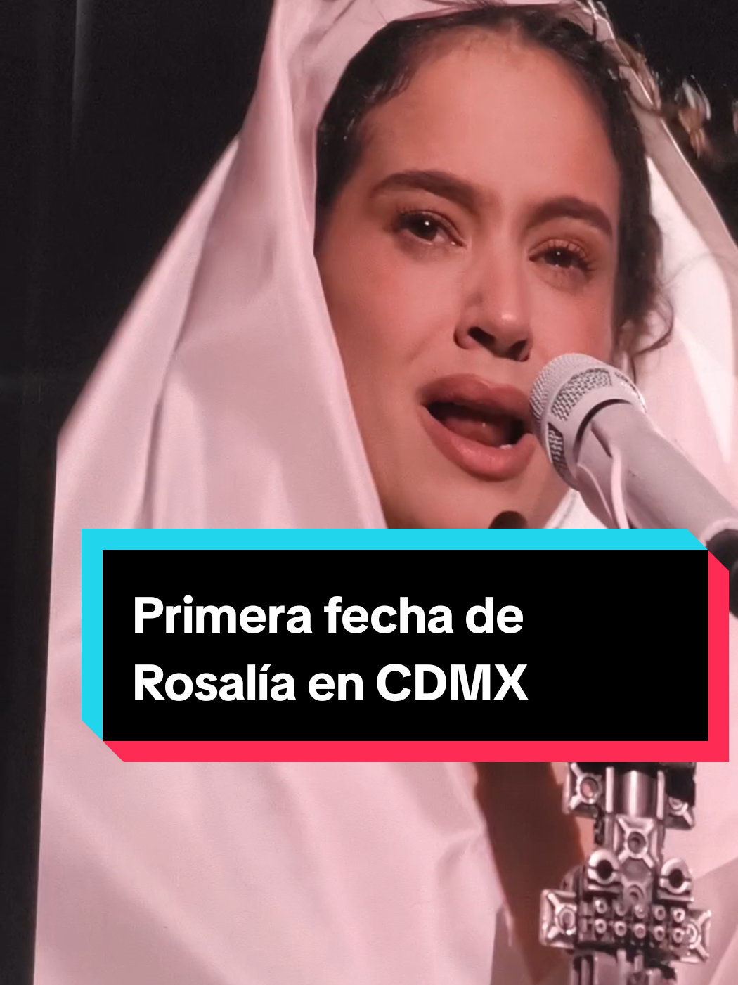 @Estefania LeChat