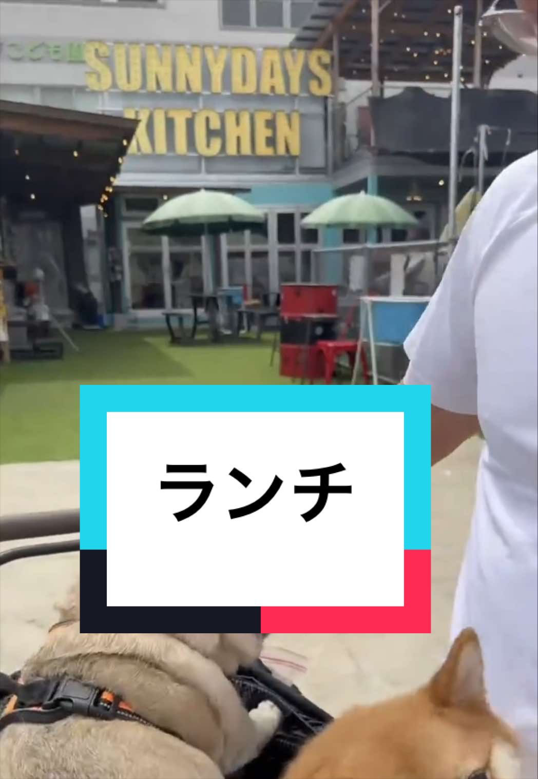 @🐶とん&ぺっぺこぺー🦊