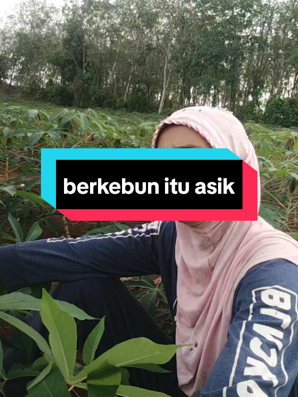 @Dara