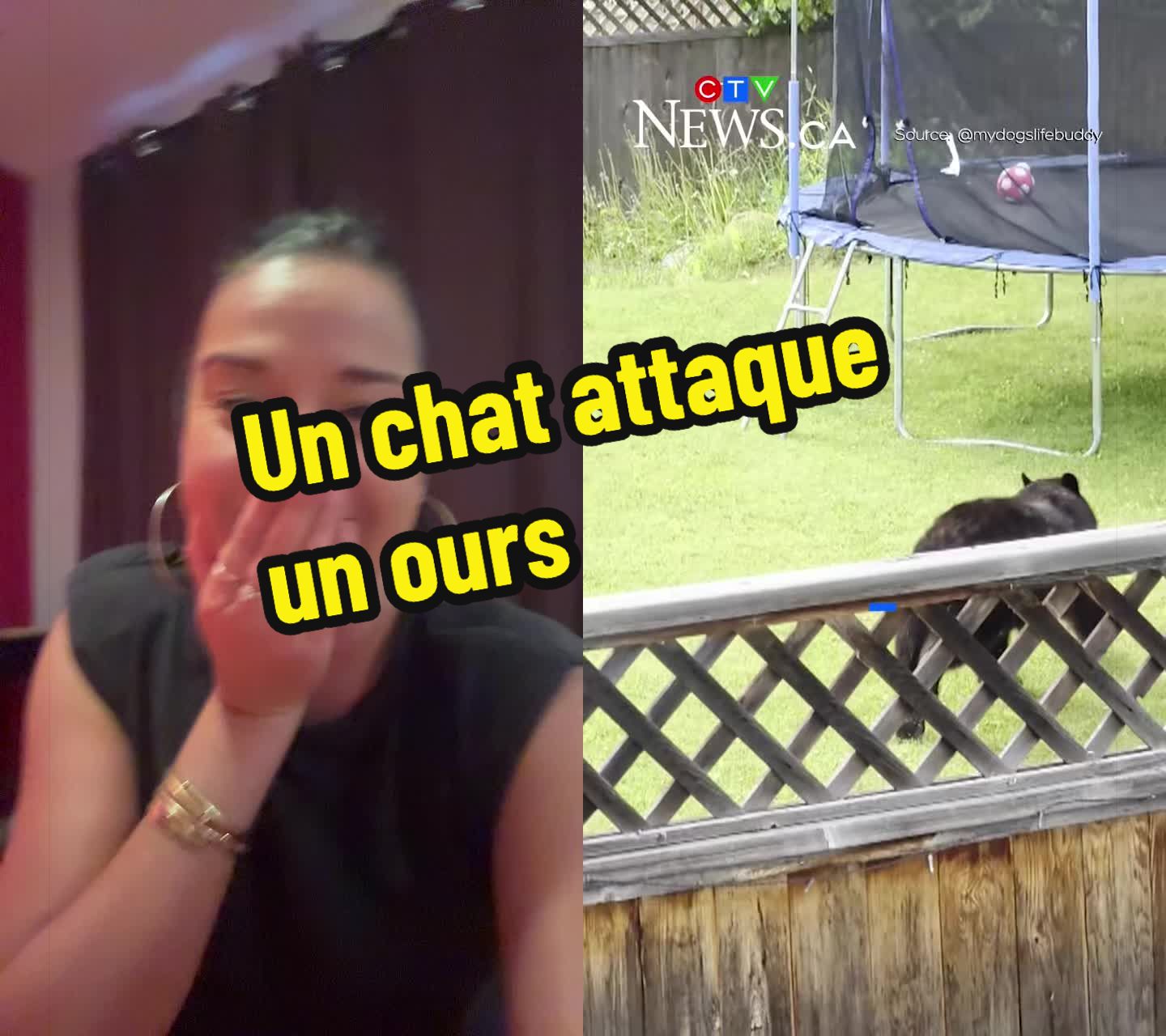 @Sandra Sirois