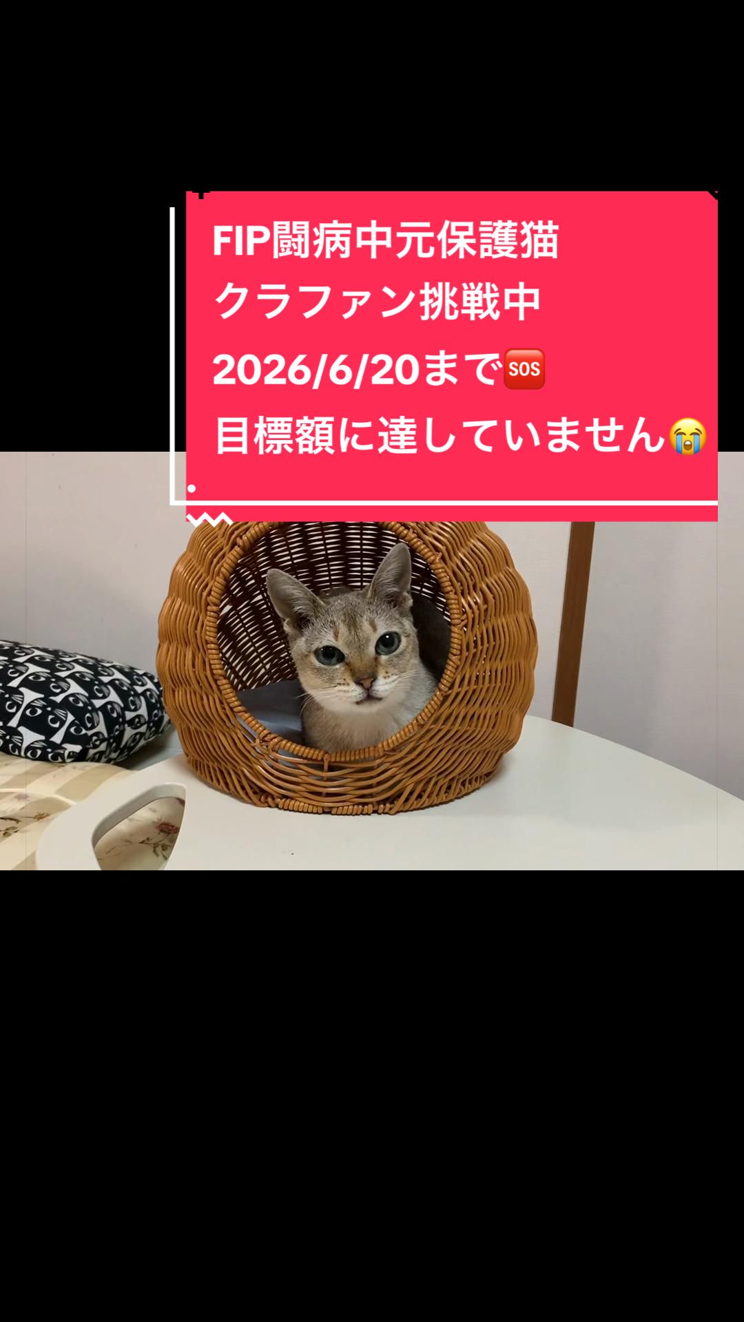 @Singapura_ran