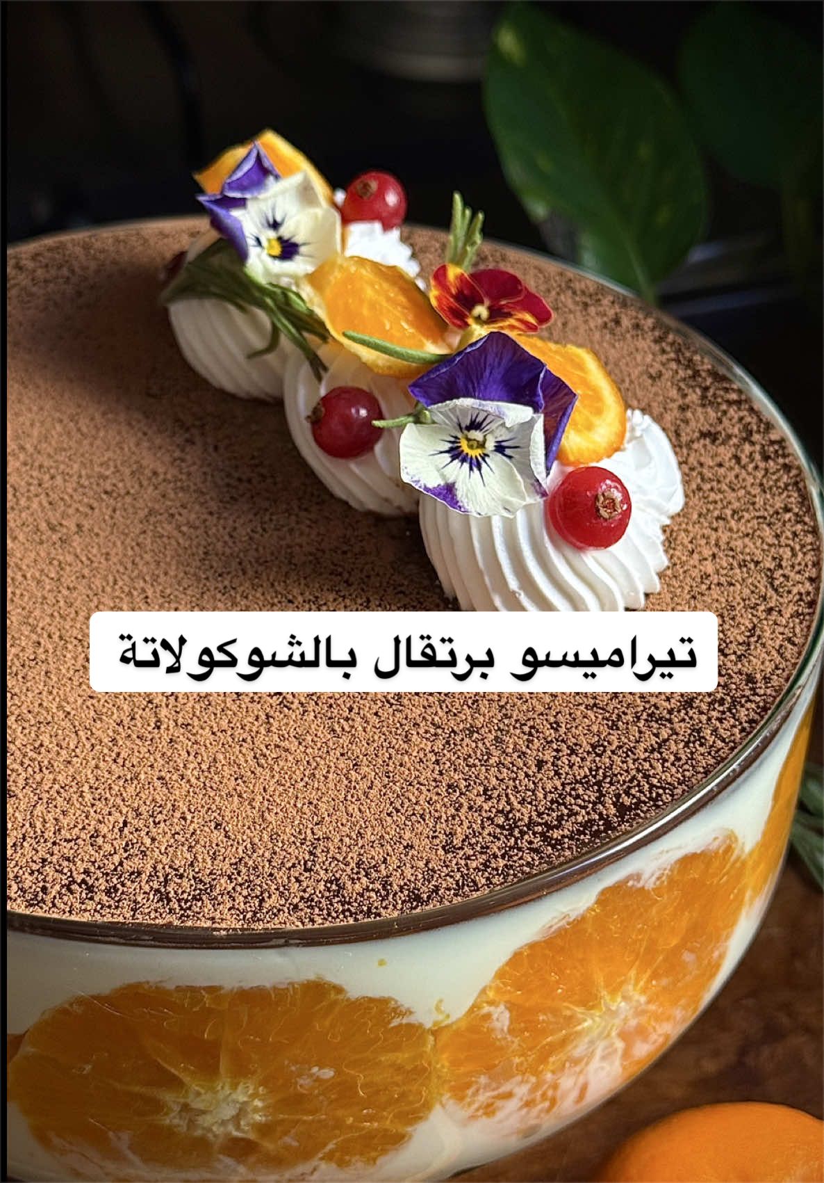 @Abeer Albarqi | عبير البارقي