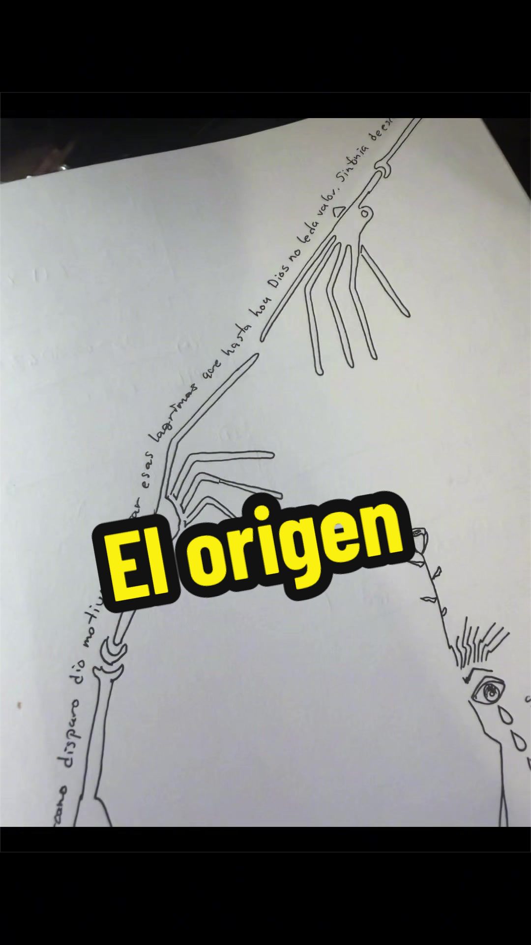 @Mister Naranjo