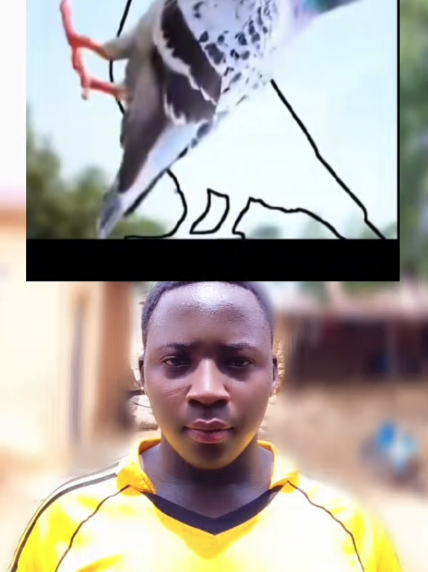 @MADIHU_SK 🦅