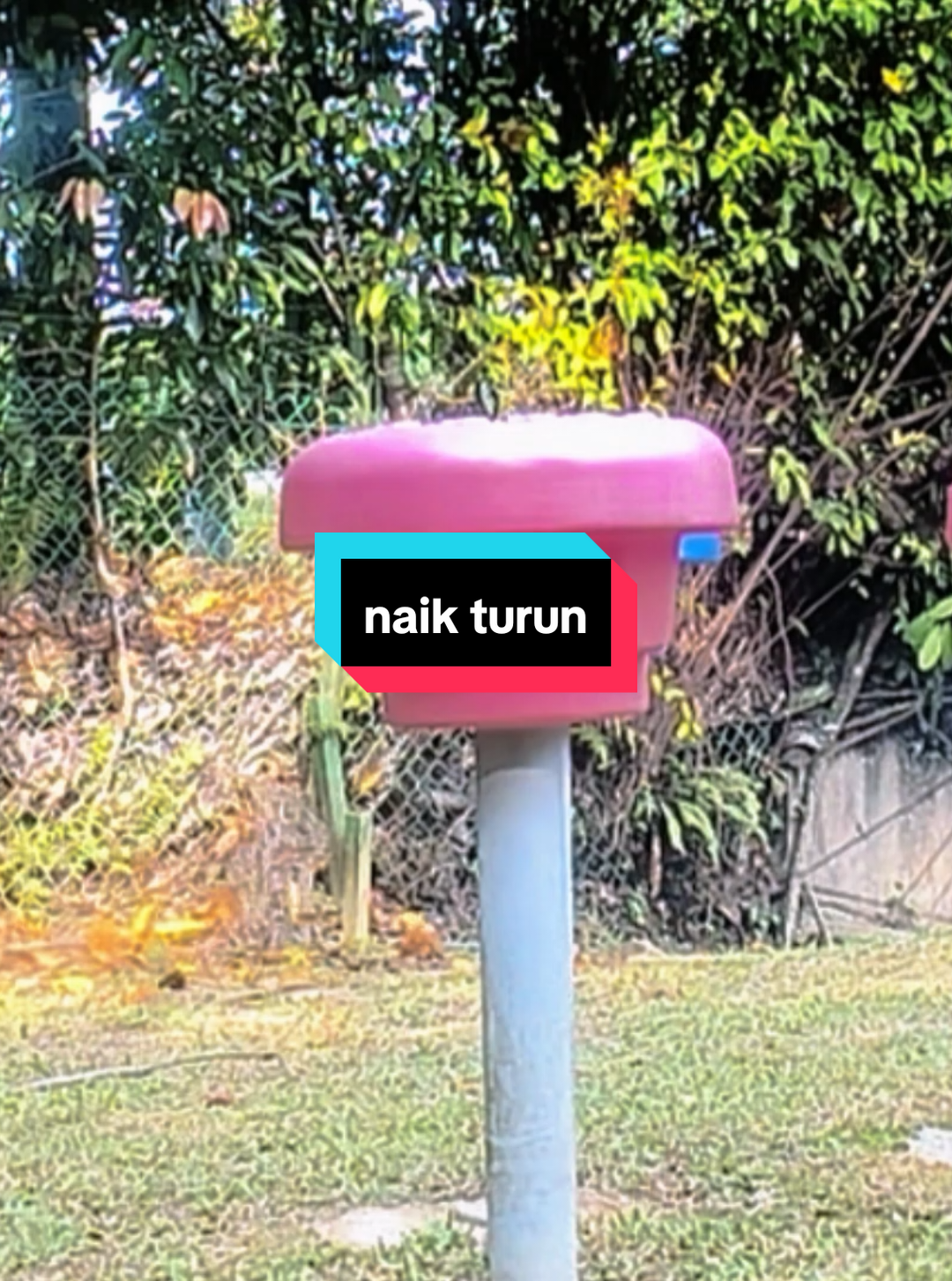 @Shukry