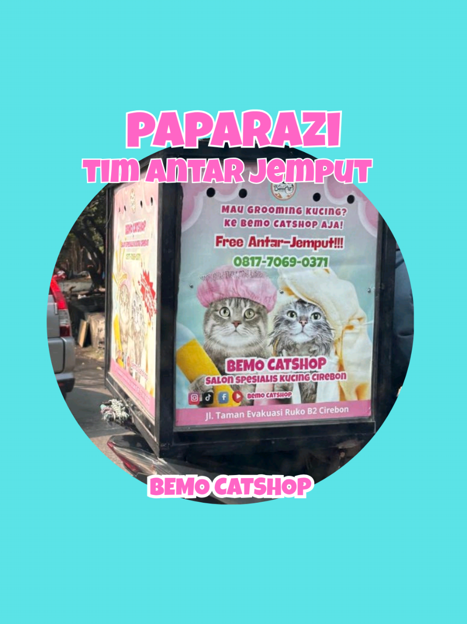 @Bemo Catshop