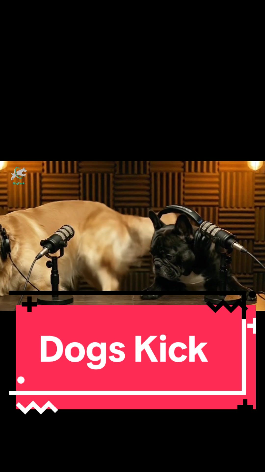 @DogPack