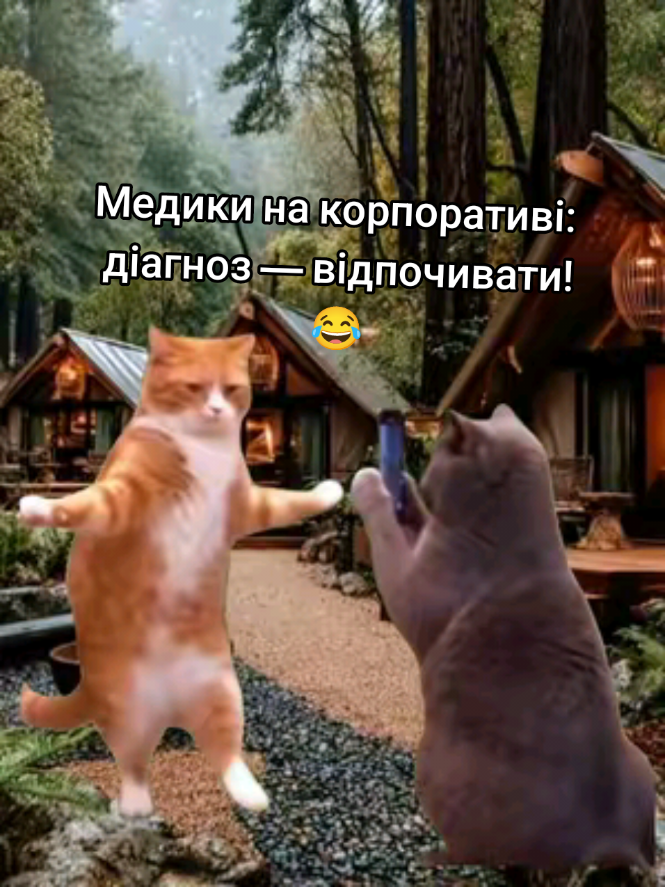 @🇺🇦Любов_укр🍉