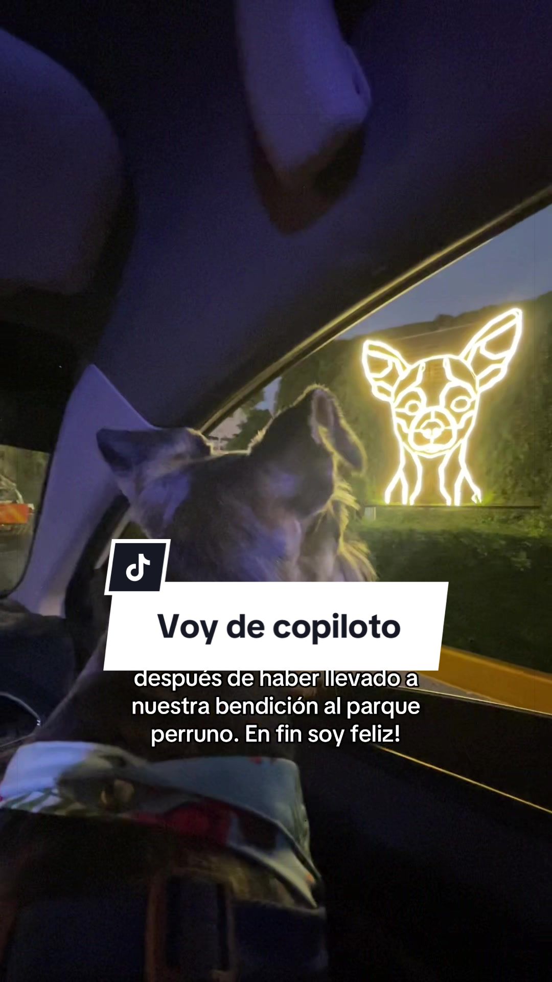 @lukah_schnauzer