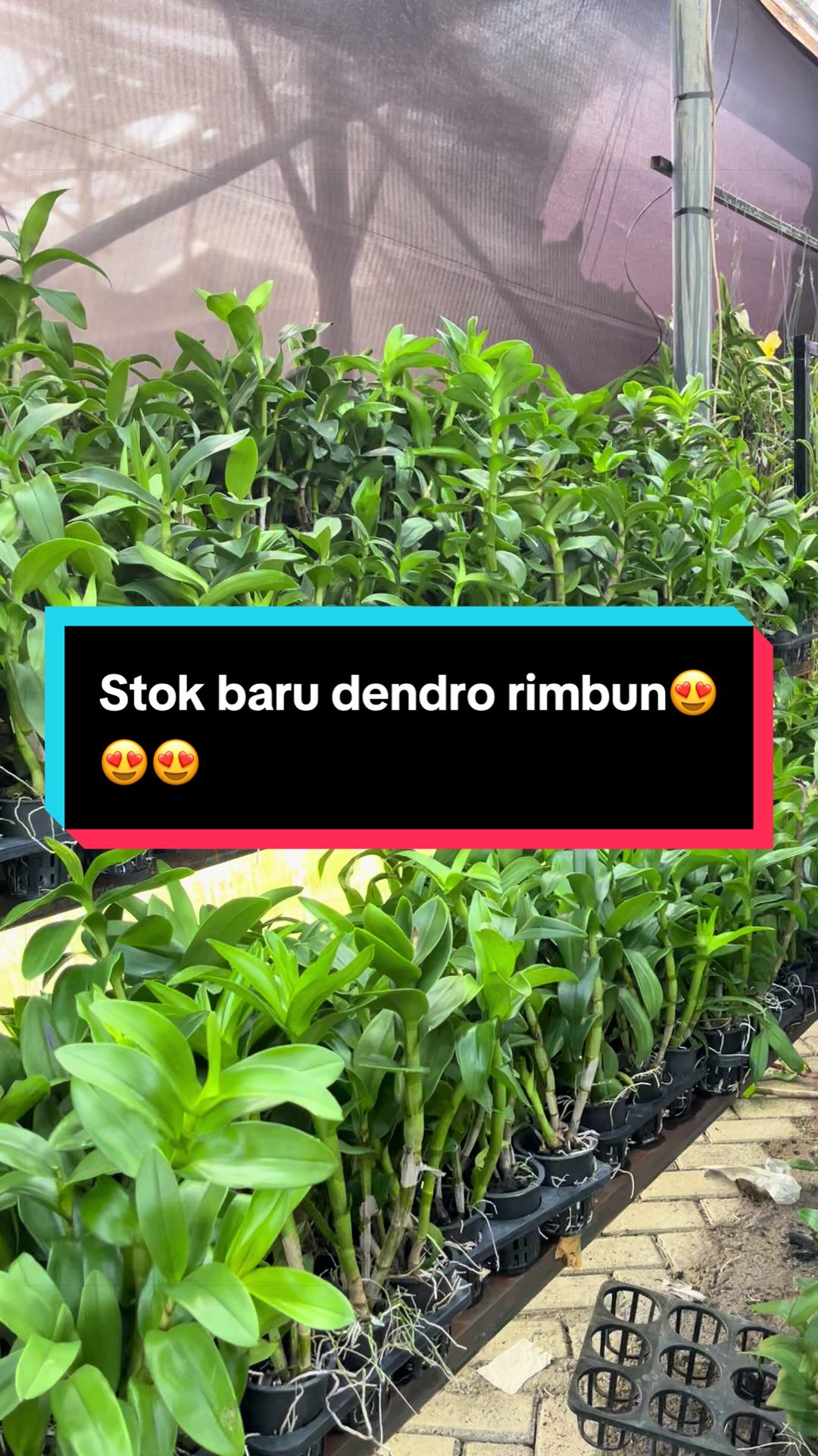 @Griya sekarindo utama