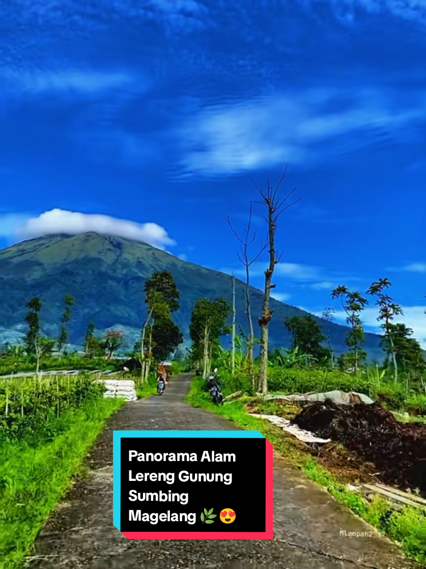 @mlampah2_57