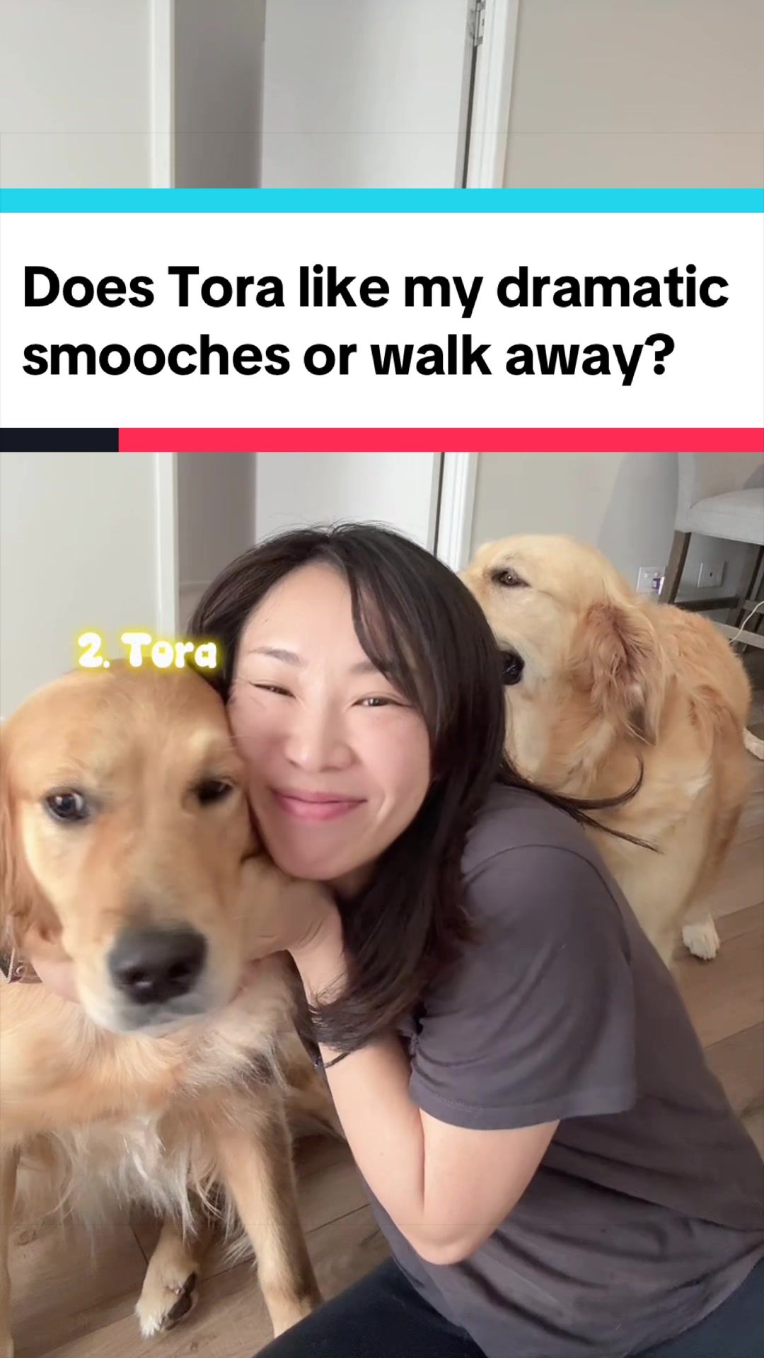 @3goldenretriever