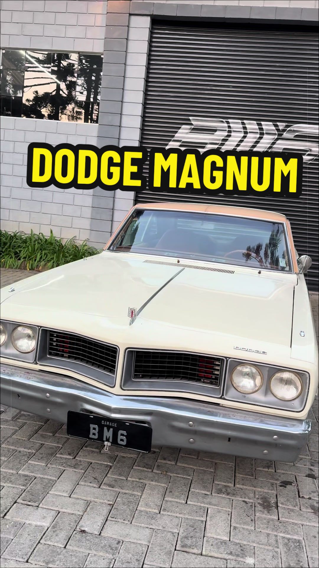 @GarageDreamsBr♦️