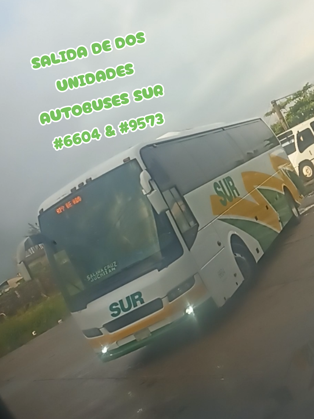 @Busologia Veracruzana 🍀🚍