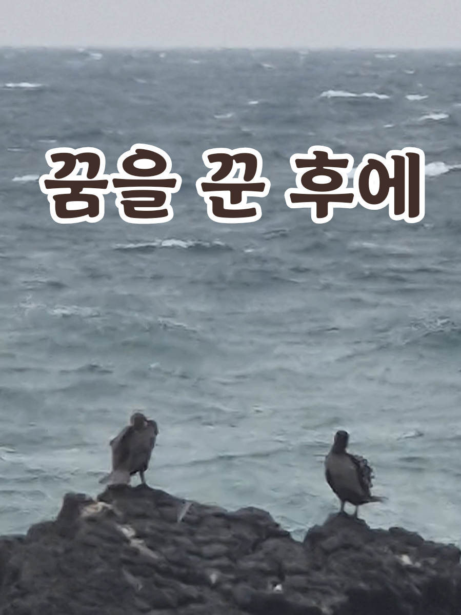 @송화찌