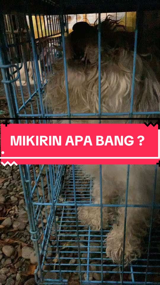 @Rumah Kosong