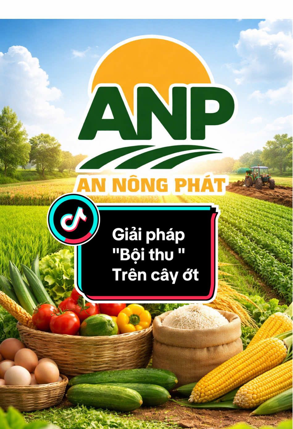 @H&acirc;n chuy&ecirc;n b&aacute;n ph&acirc;n thuốc