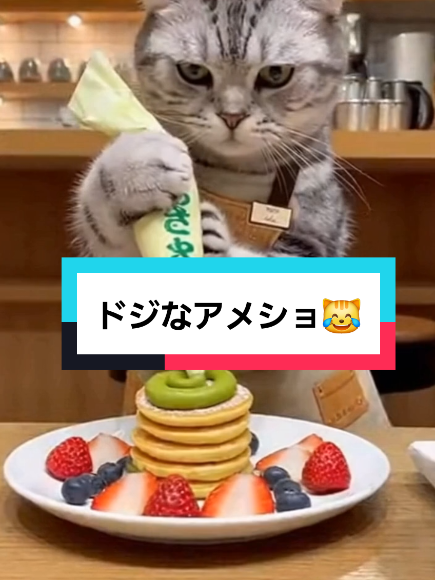 @AI動物園園長