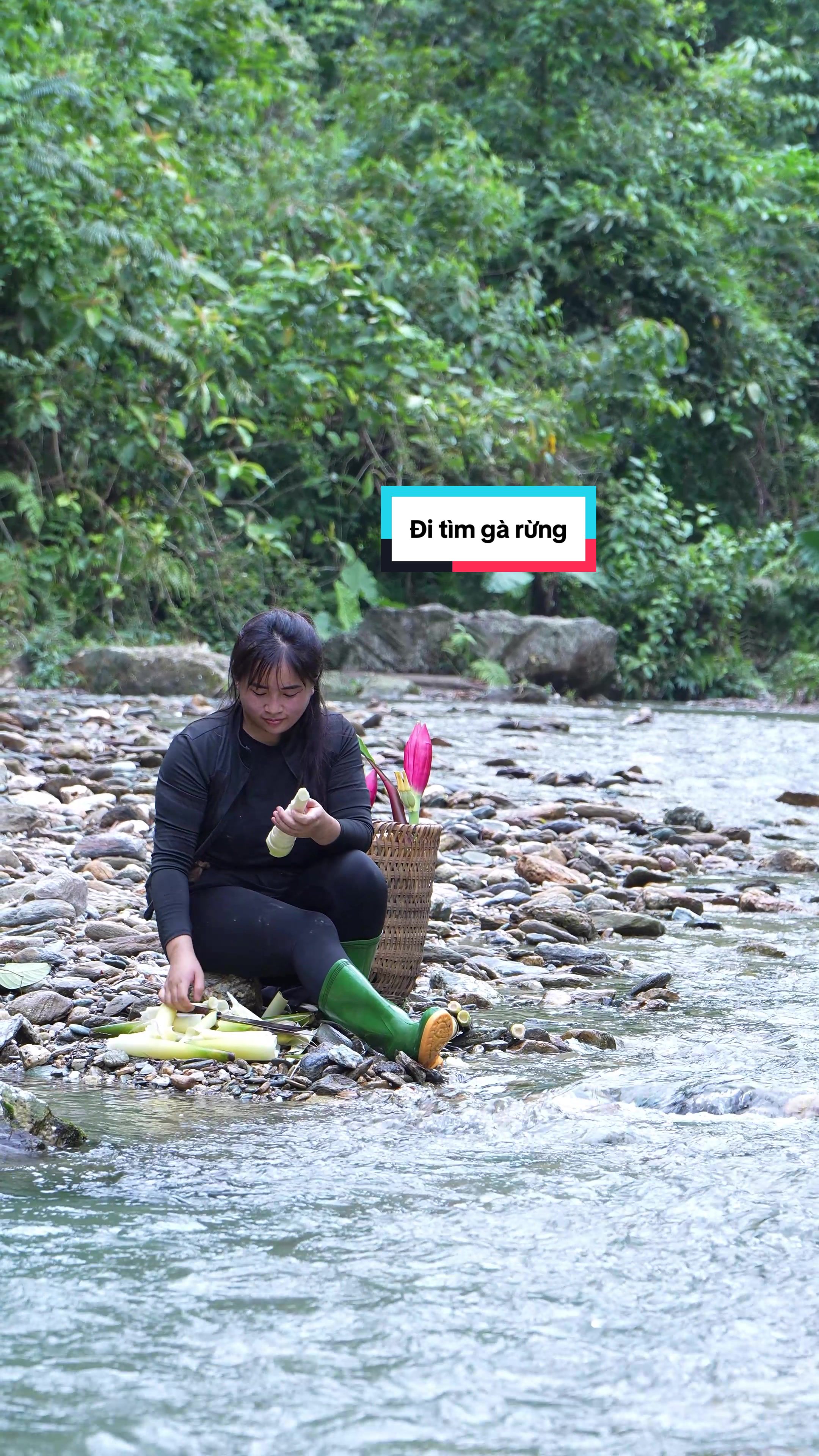 @Sức T&agrave;y