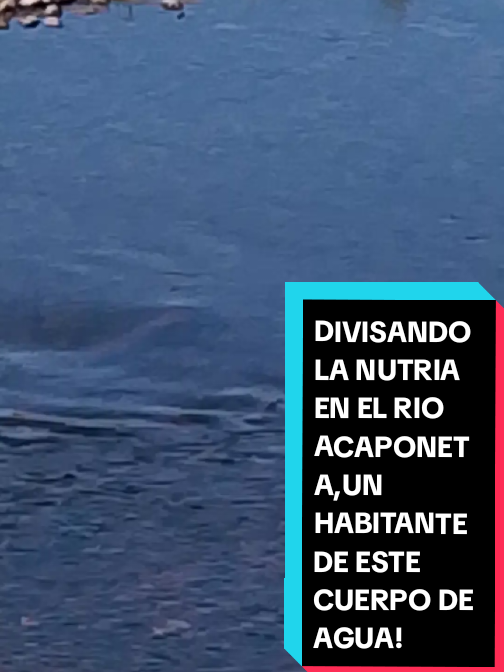 @Eliseo López