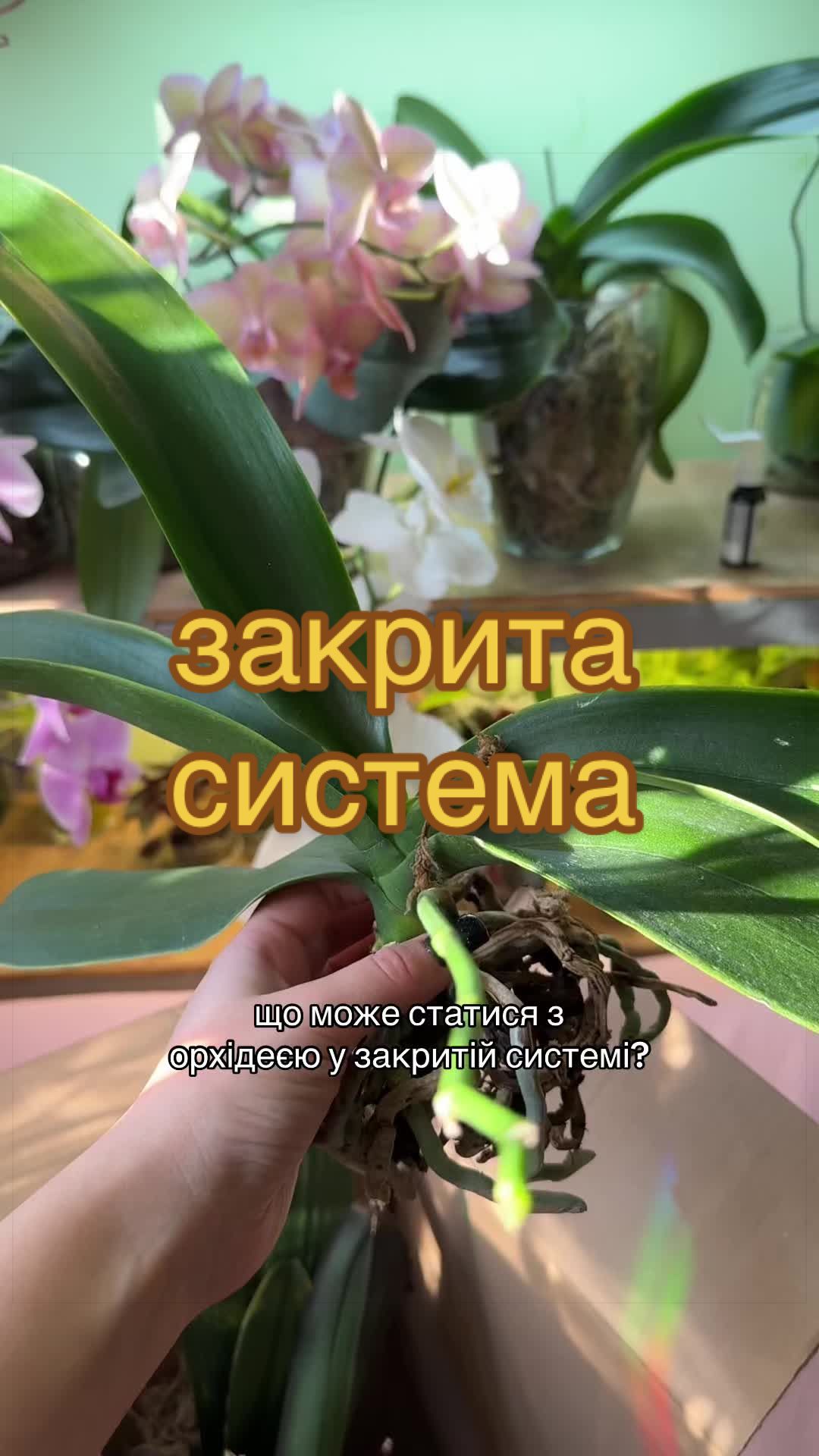 @🧚леся🧚