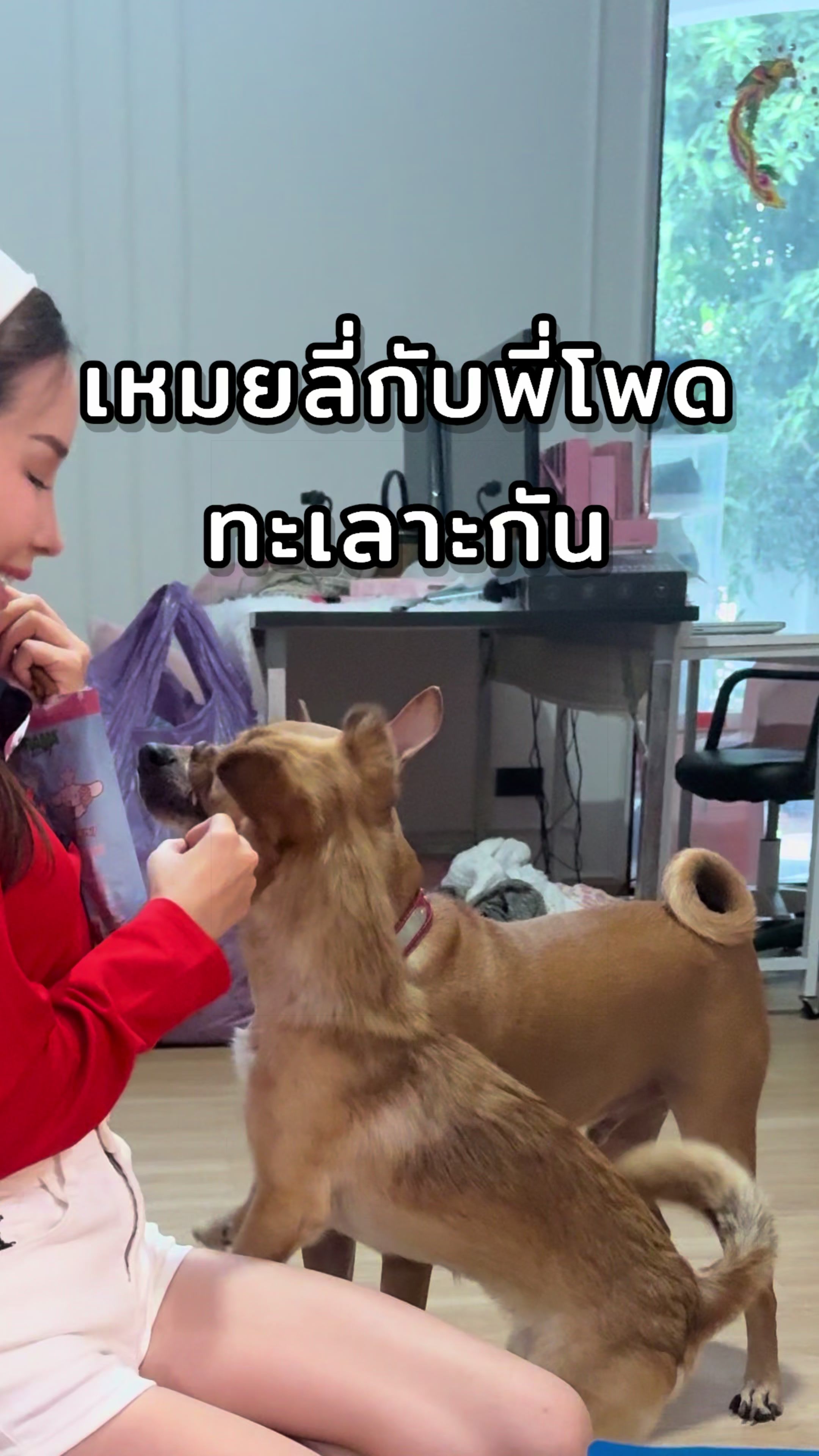 @ฟ้าบาร์บี้ช่องจริง