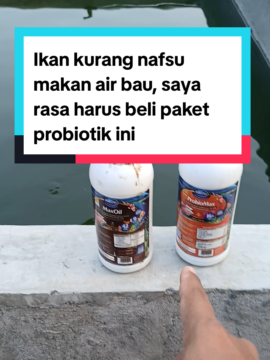 @Kang_Ewi