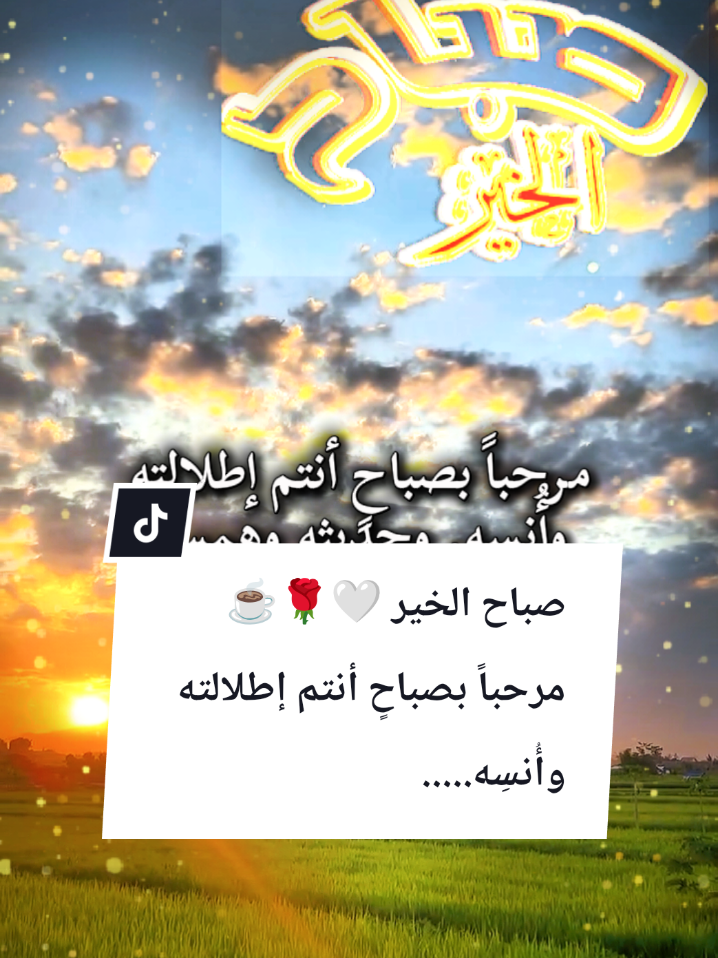 @🌟𝗦𝗼𝘂𝘇𝗮𝗻 𝗖𝗵𝗮𝗺𝘀