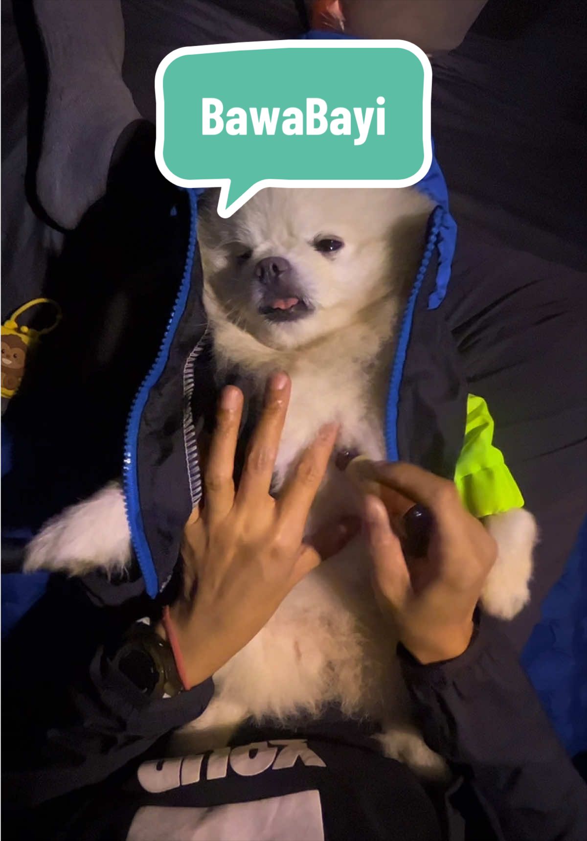 @snowietheexplorer