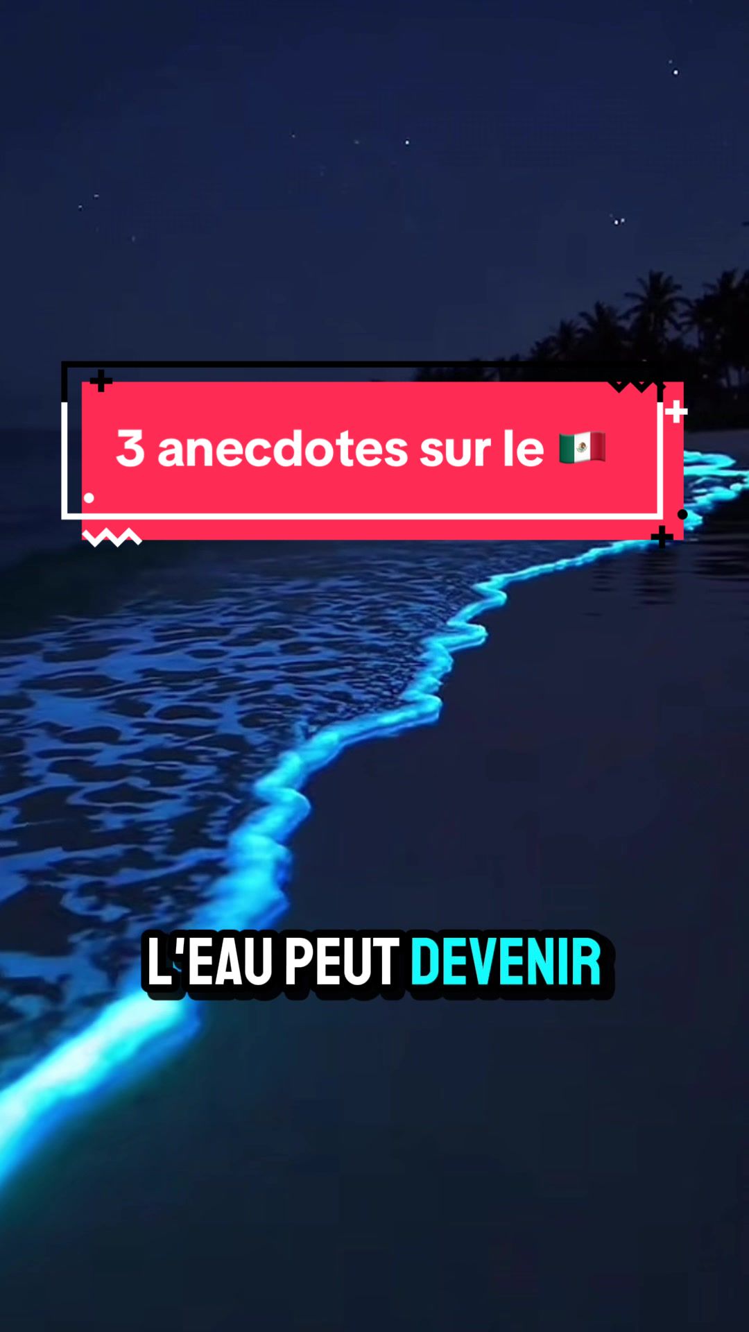 @xamanexperience
