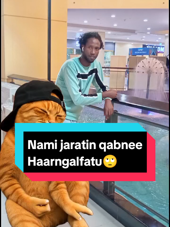 @𝘔𝘶𝘳𝘢𝘥 𝘑𝘪𝘮𝘮𝘢