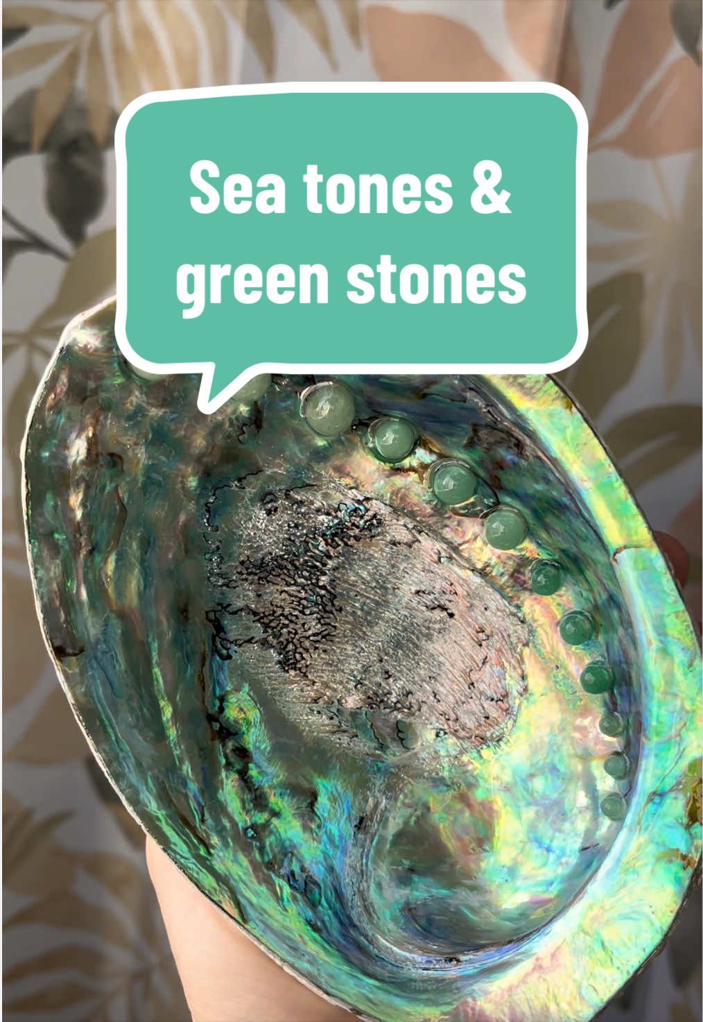 @Dusty J Designs | Shells