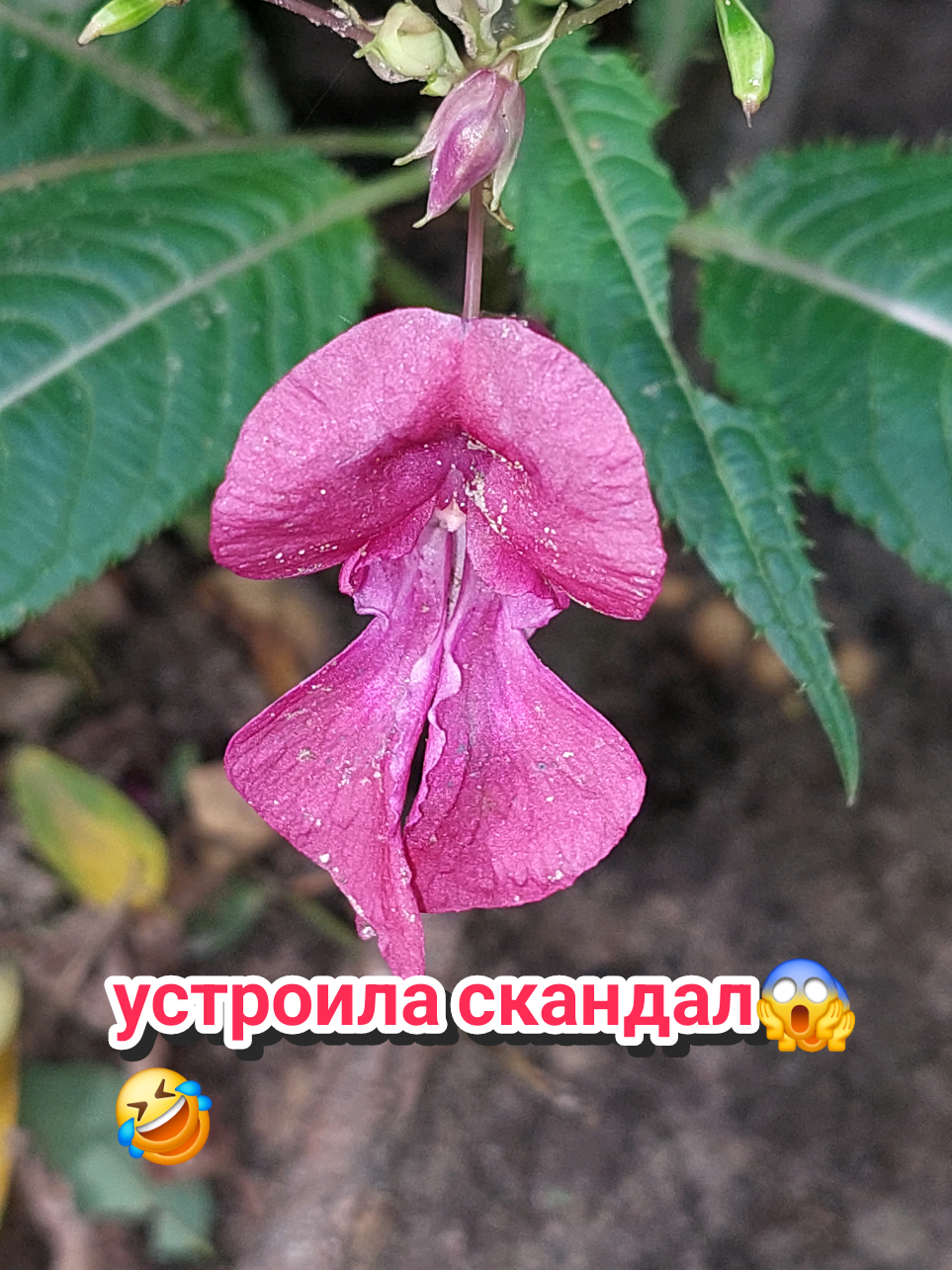 @Рыся✔️🇧🇾