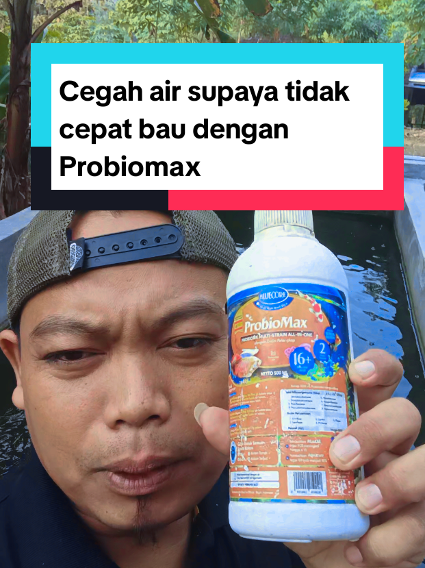 @Kang_Ewi