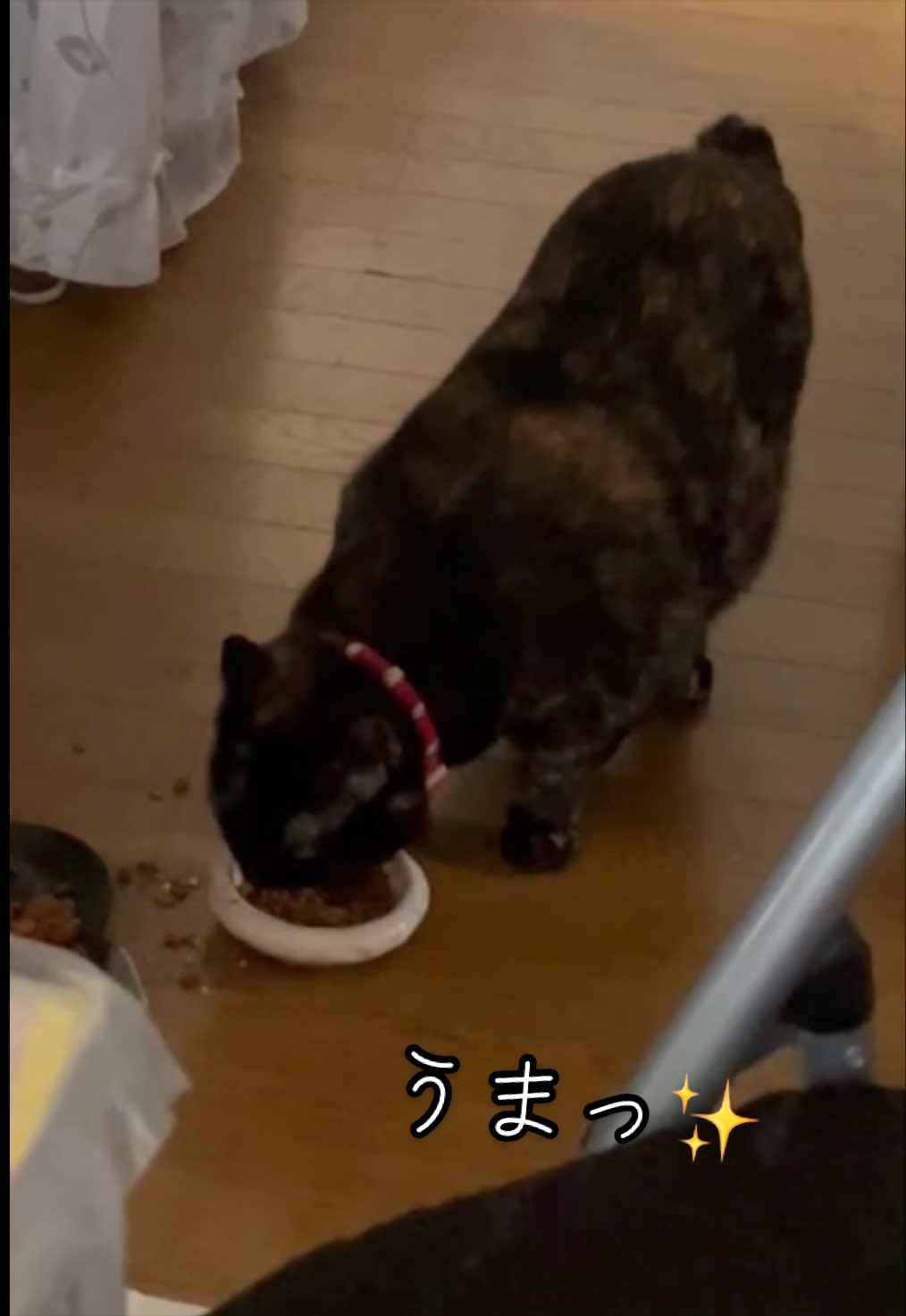 @聴々物語PROJECT