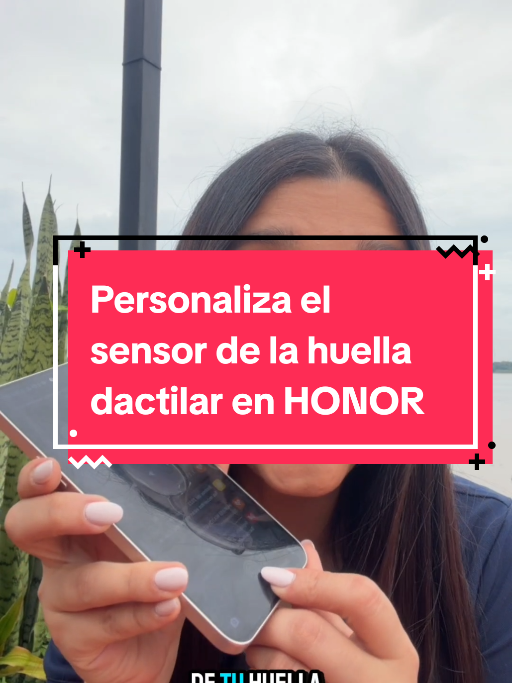 @honortrainingecuador
