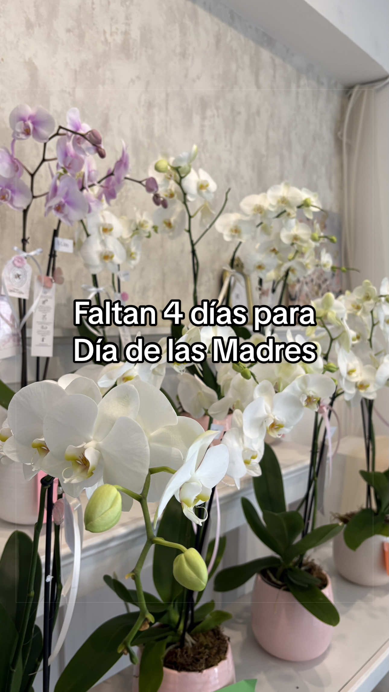 @Todo en Flores Florería