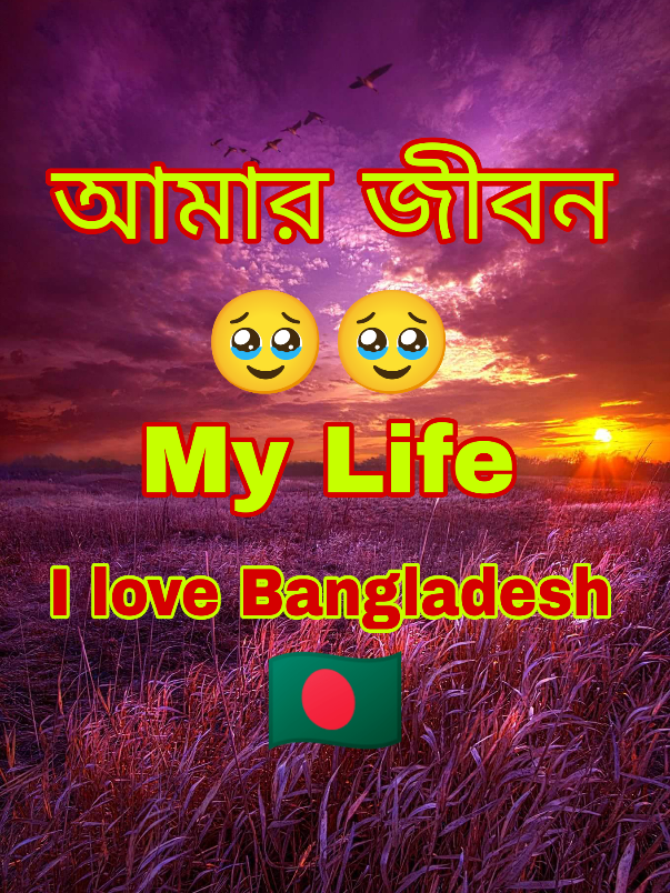 @Shoukath Ali