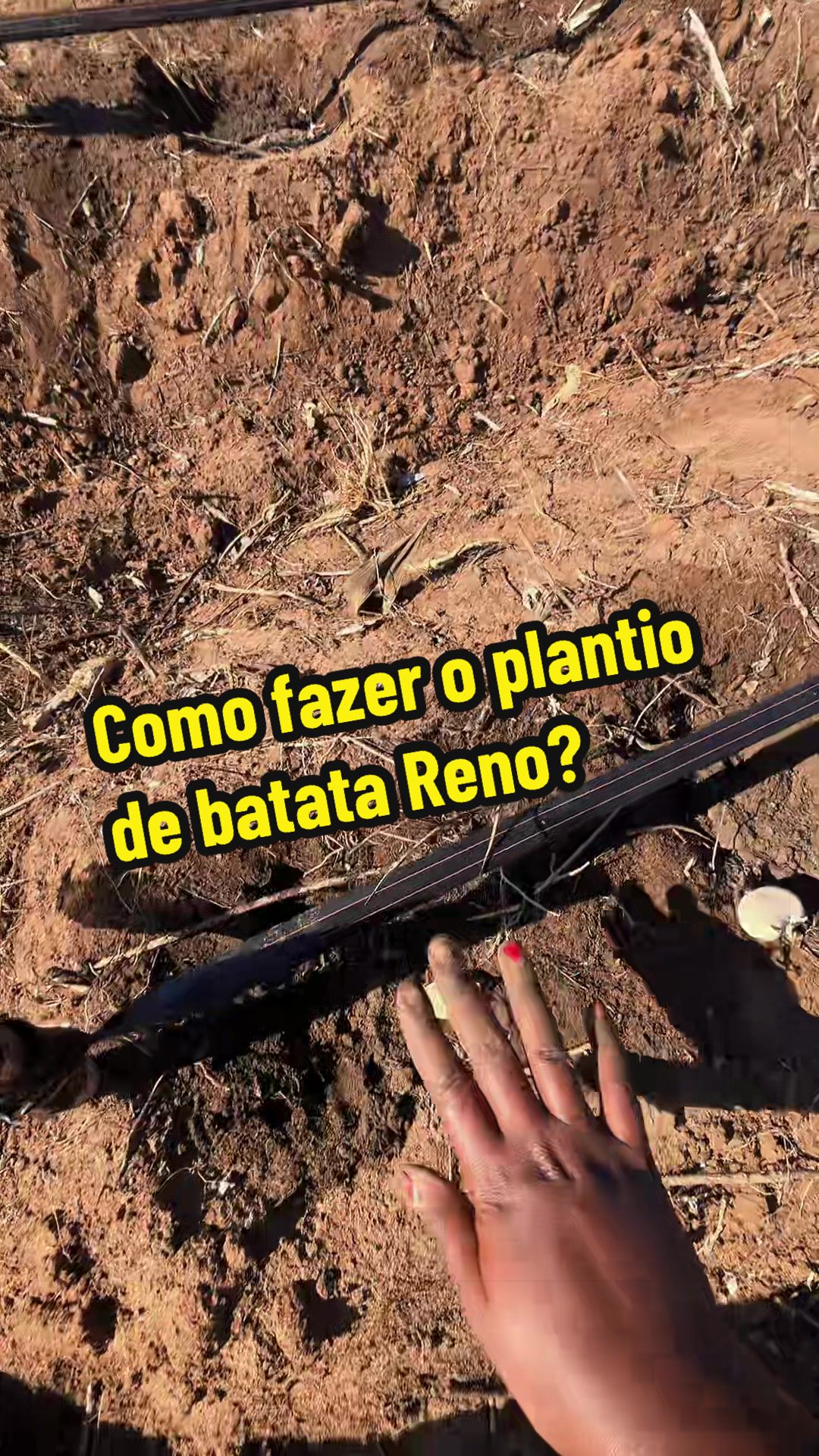 @Felicidade Gotine Firmino