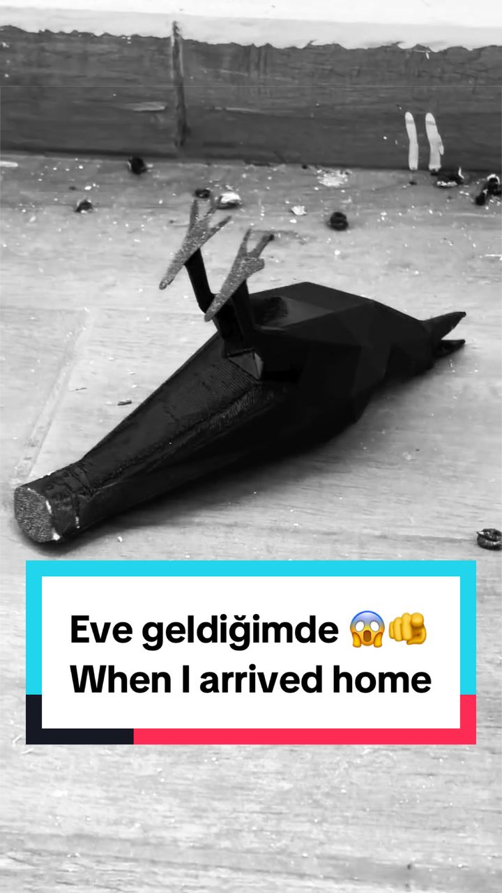 @TeknikCeviri 🇹🇷🇺🇸English👁