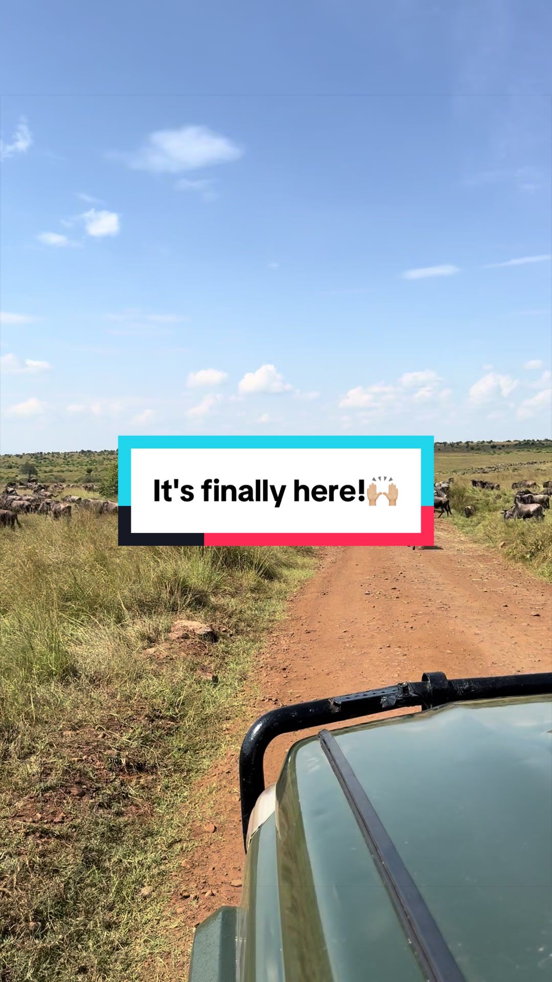 @Milana Tours and Safaris