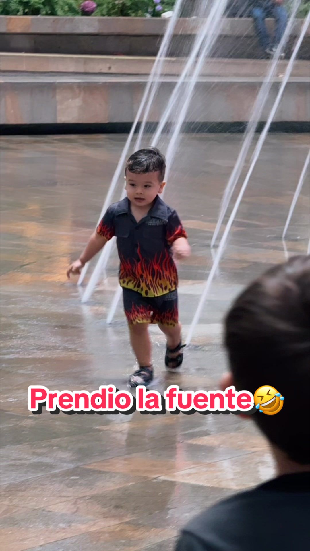 @laucris