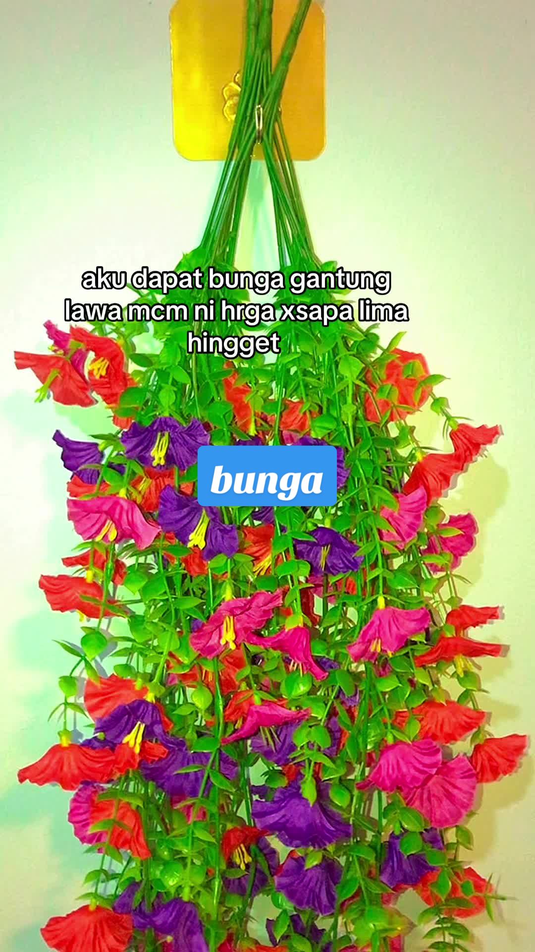 @hi yOu !