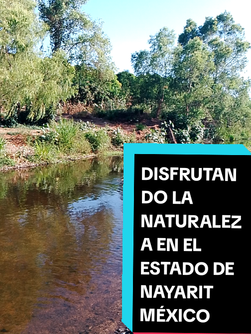 @Eliseo López
