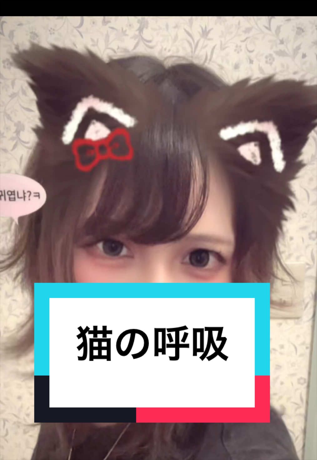 @めめたん🧚&zwj;♀️【One Live】