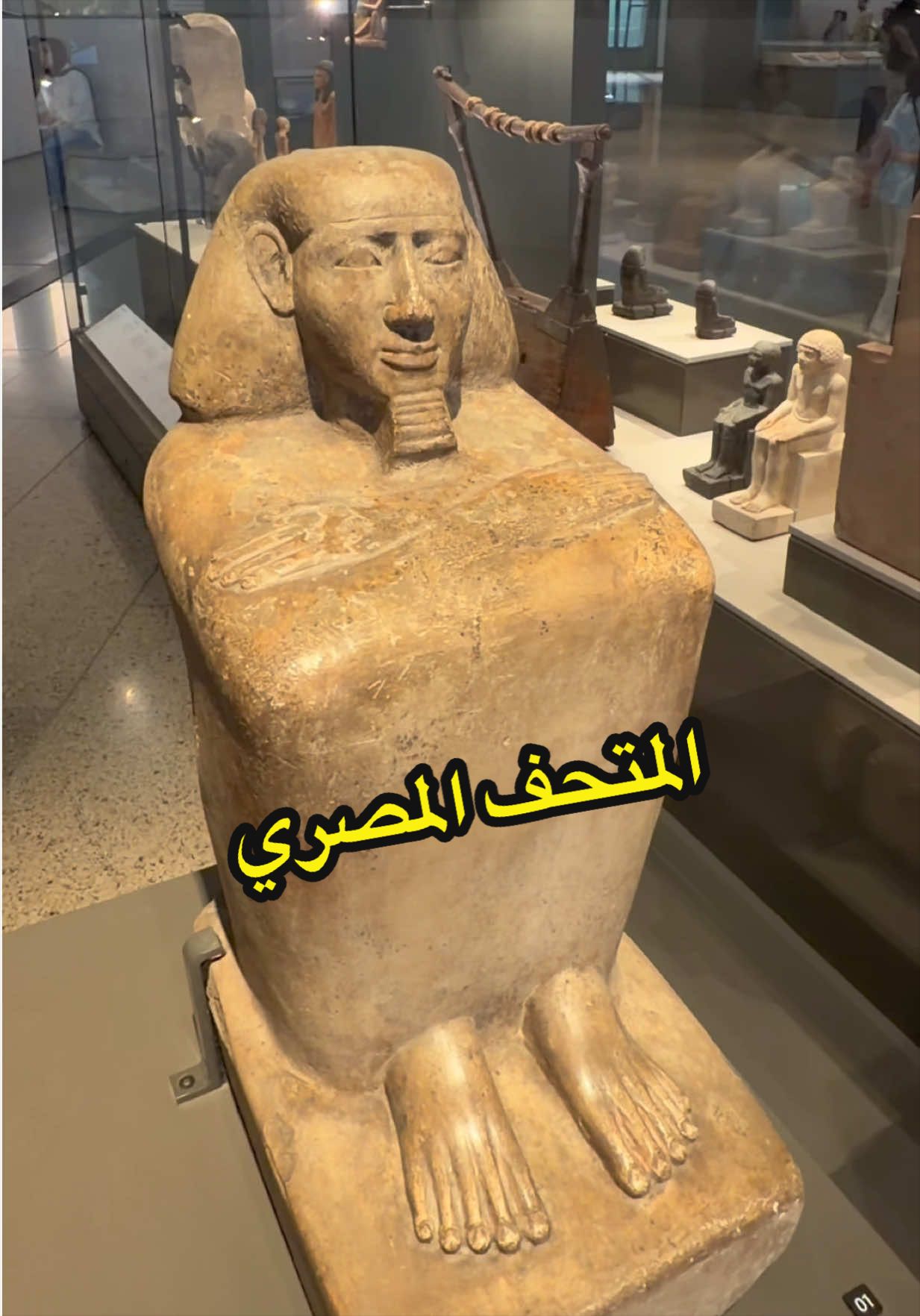 @فراشة التيكتوك