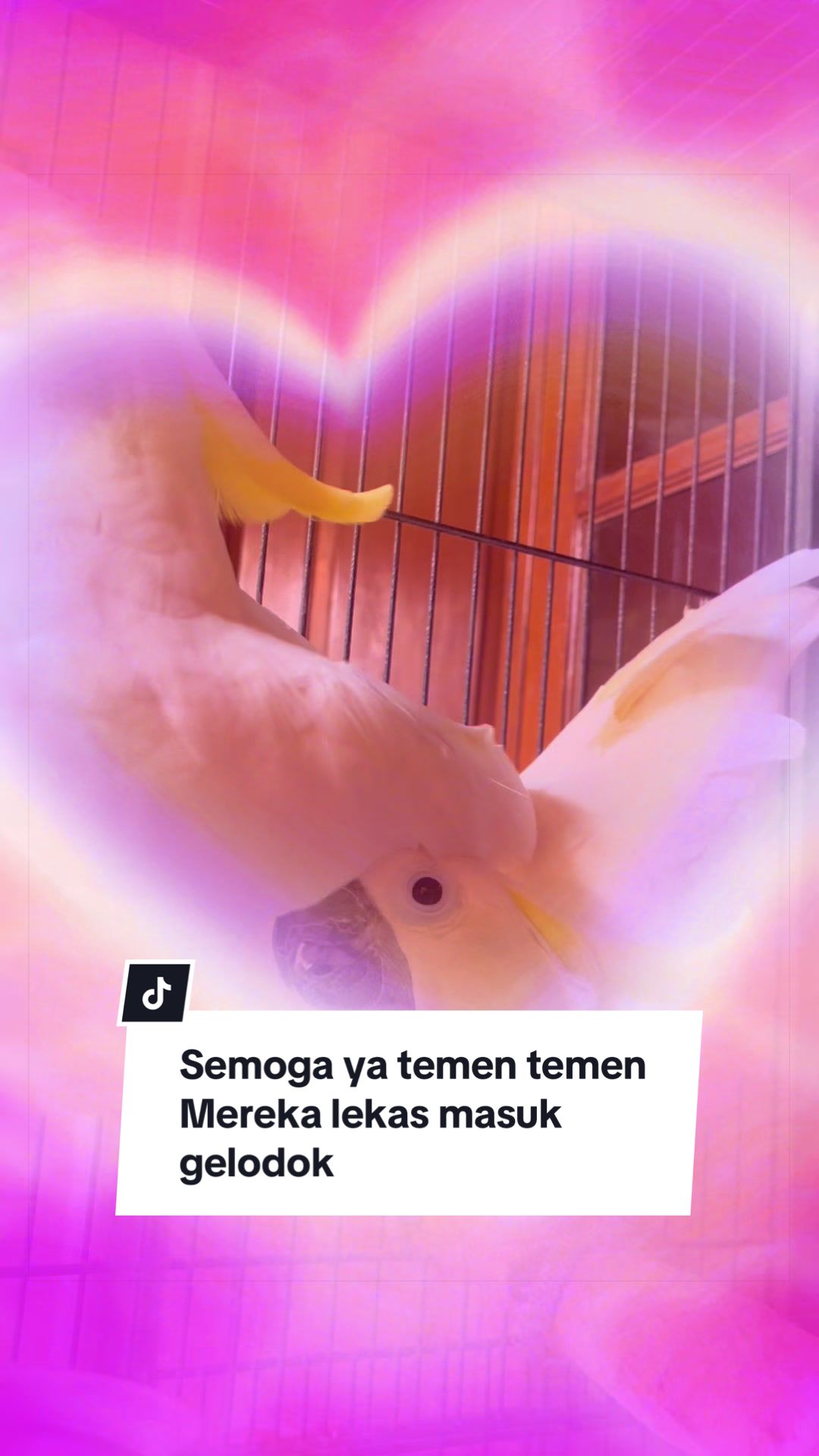 @bio_bege