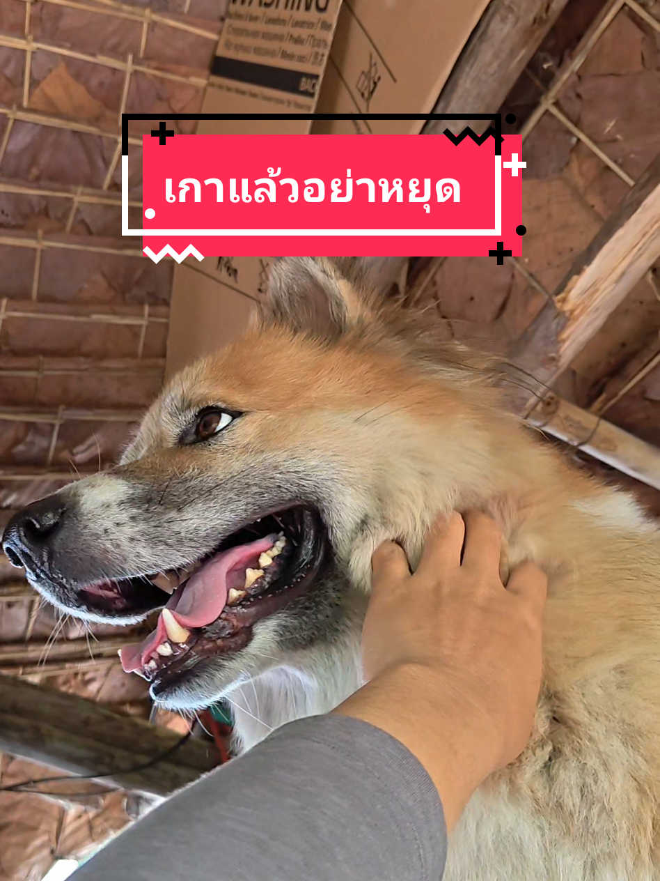 @หลิวหลิว แม่พี่ธอร์